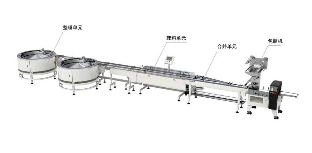 双通道饼干料理包装系统